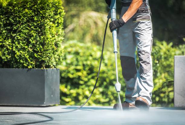 Best Building Exterior Washing  in Union Park, FL