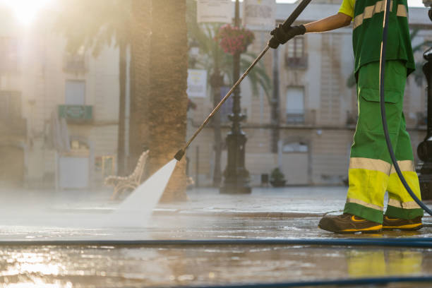 Best Roof Washing  in Union Park, FL
